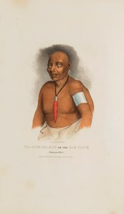  av James Otto Lewis