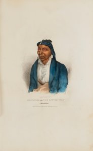  av James Otto Lewis