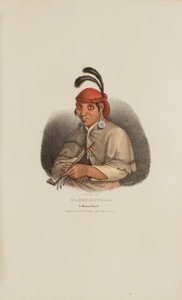  av James Otto Lewis
