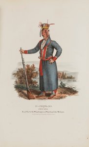  av James Otto Lewis