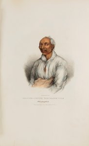  av James Otto Lewis
