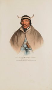  av James Otto Lewis
