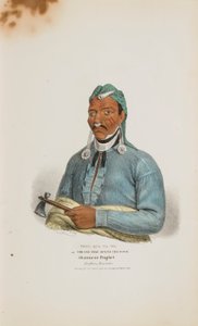  av James Otto Lewis