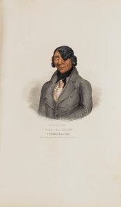  av James Otto Lewis