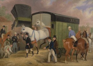 The Derby Pets: The Arrival av James Pollard