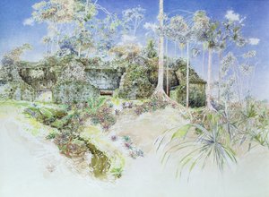 Ruined Temple, Tikal, Guatemala, 1984 (wc på papir) av James Reeve