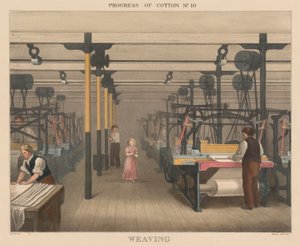 Progress of Cotton: # 10 - Veving