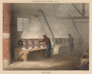 Progress of Cotton: # 11 - Døende av James Richard Barfoot