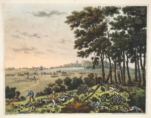 Chateau of Hougoumont: En utsikt over treet som ligger langs slottet av James Rouse