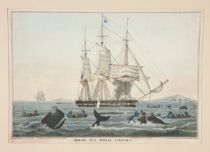 South Sea Whale Fishing