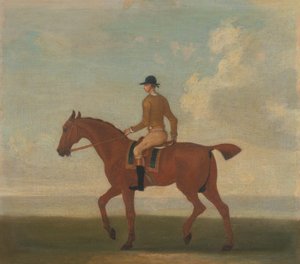 Ett av fire portretter av hester - en kastanje veddeløpshest med Jockey Up: går til venstre; jockey i buff-gul jakke