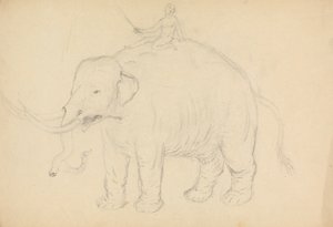 Elefant med rytter av James Sowerby