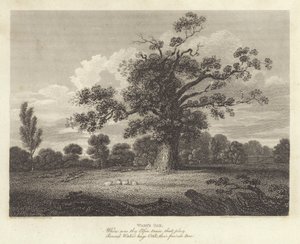 Robert Bloomfield, poet: Wake