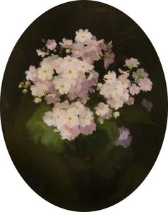 Primulas, 1900-tallet (olje på lerret) av James Stuart Park