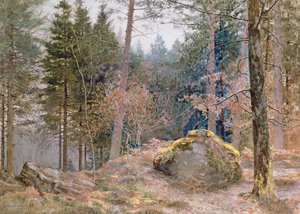I en walisisk skog, vinter