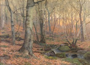 Russet and Grey: en walisisk bøkeskog (w/c)
