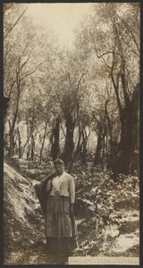  av James W. Holcombe