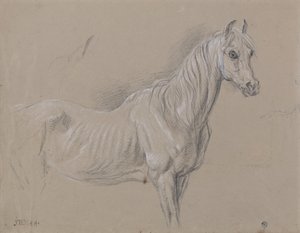 A Mare: muligens en studie for 