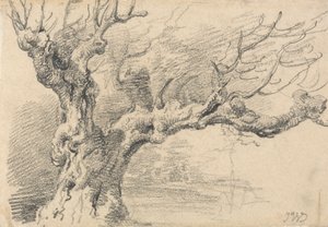 Et gammelt eiketre av James Ward