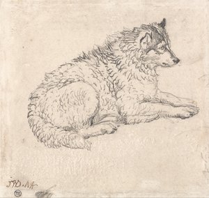 Arktisk hund, vendt mot høyre av James Ward