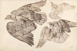  av James Ward