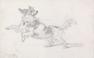 Lady Londonderrys hund av James Ward