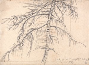  av James Ward