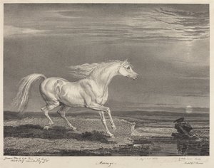 Marengo av James Ward