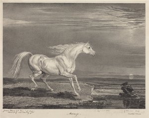 Marengo av James Ward