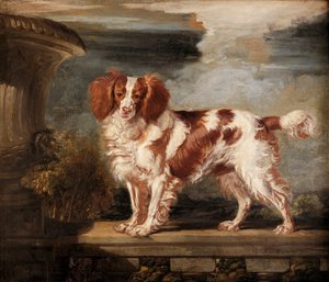 Portrett av Dash, en favoritt spaniel, eiendommen til Lady Frances Vane-Tempest av James Ward