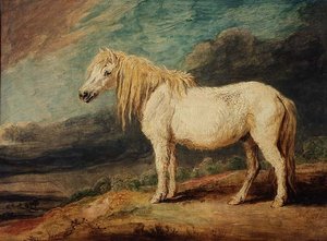 Shetlandsponni av James Ward