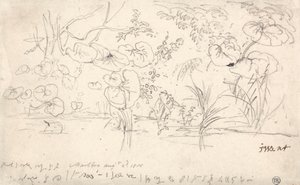 Studier av planter, 2. august 1815 av James Ward