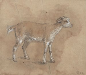 Studie av et barn av James Ward
