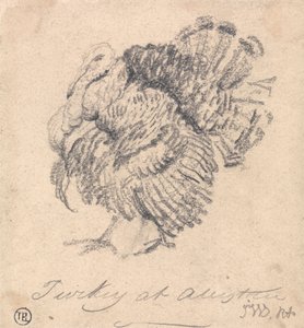 Studie av et Tyrkia av James Ward