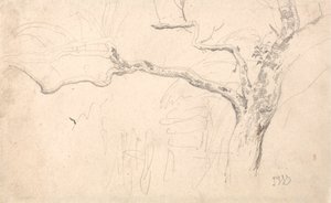 Trestudie av James Ward