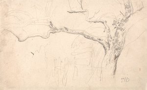 Trestudie av James Ward