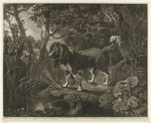 Spaniel ved vannkanten ser på anda som flyr bort