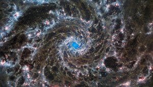 The Heart of the Phantom Galaxy av James Webb Space Telescope (NASA)