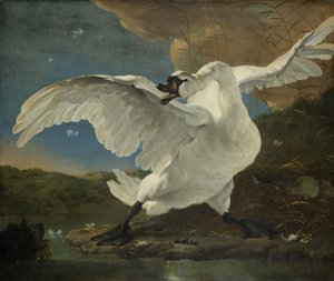 Den truede svanen, ca. 1650
