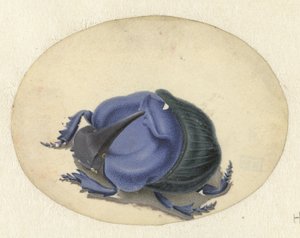 blå bille Dyr (serietittel) av Jan Augustin van der Goes