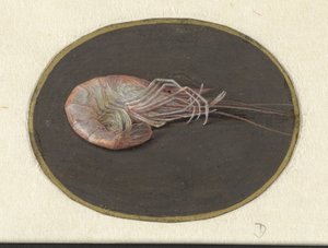Reke Dyr (serietittel) av Jan Augustin van der Goes