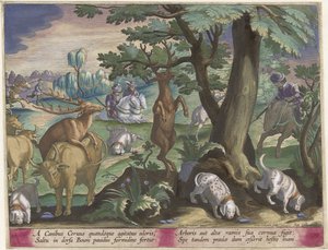 Hertenjacht met honden Jachttaferelen (serietittel) Jakten på vilt, fugl og fisk i Bestiary (serietittel) av Jan Collaert