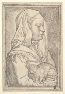 Jente med en katt, 1546. av Jan Cornelisz Vermeyen
