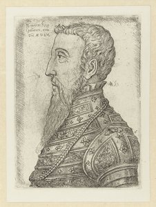 Portrett van Hendrik II Henry King of the Gallers (tittel på objekt) av Jan Cornelisz Vermeyen