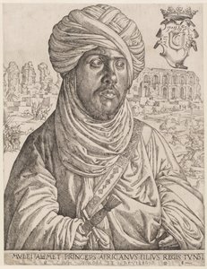  av Jan Cornelisz Vermeyen