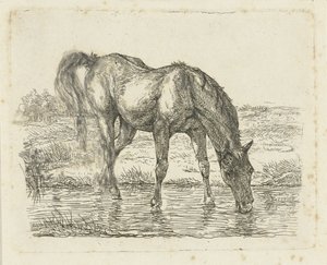 Drikkehest av Jan Dasveldt