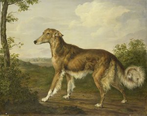 Sibirsk greyhound, ca. 1825 (olje på lerret) av Jan Dasveldt