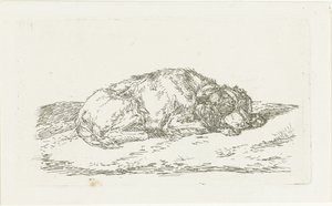 Sovende hund med hodet hvilende på forbena av Jan Dasveldt