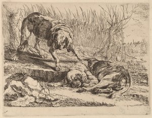 To beagler, en sover av Jan Fyt