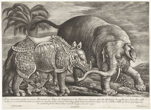 Olifant en neushoorn En sann representasjon av de to store mesterverkene i naturen, elefanten og neshornet (tittel på objektet)